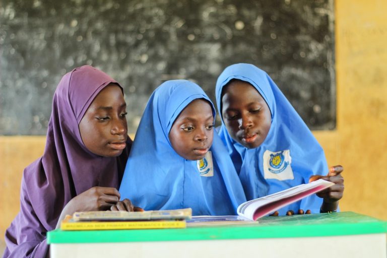 Exploring African Perspectives in Gender Studies